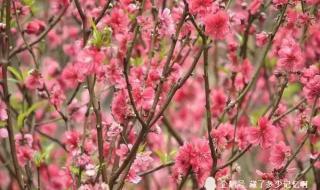 十八罗汉山森林公园