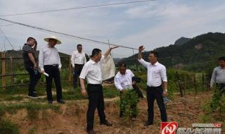 惠州火车有没有到怀化溆浦的 溆浦到怀化的火车