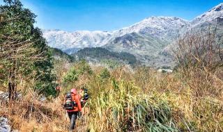 广州到衡山旅游攻略