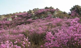 遇上你是我的缘DJ版