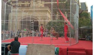 马戏团马戏表演公司