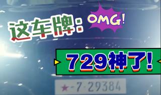 车牌528代表什么意思 729车牌是什么意思
