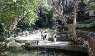 从深圳去澳门往哪里过关方便 深圳到澳门旅游攻略