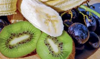 什么是冠状病毒 新型冠状病毒第一人