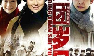 上山下乡的电视剧