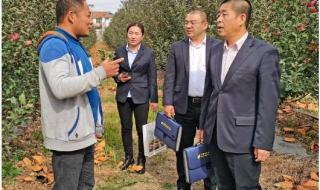 在山东邮政储蓄银行查一共存了多少钱,在浙江存的钱能查到吗 山东邮政储蓄银行