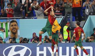 葡萄牙vs摩洛哥谁是主场 葡萄牙和摩洛哥哪个面积更大